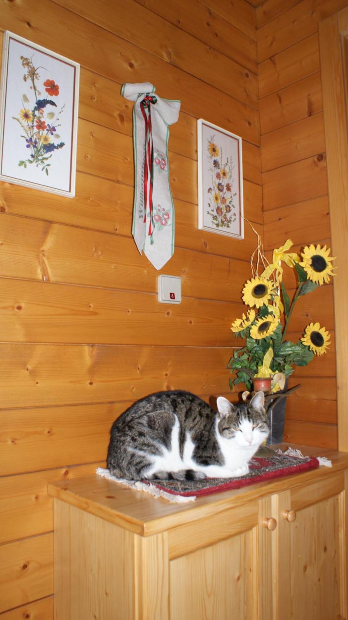 Gasthaus Oberweissen-Hittl Sankt Jakob in Defereggen Kültér fotó